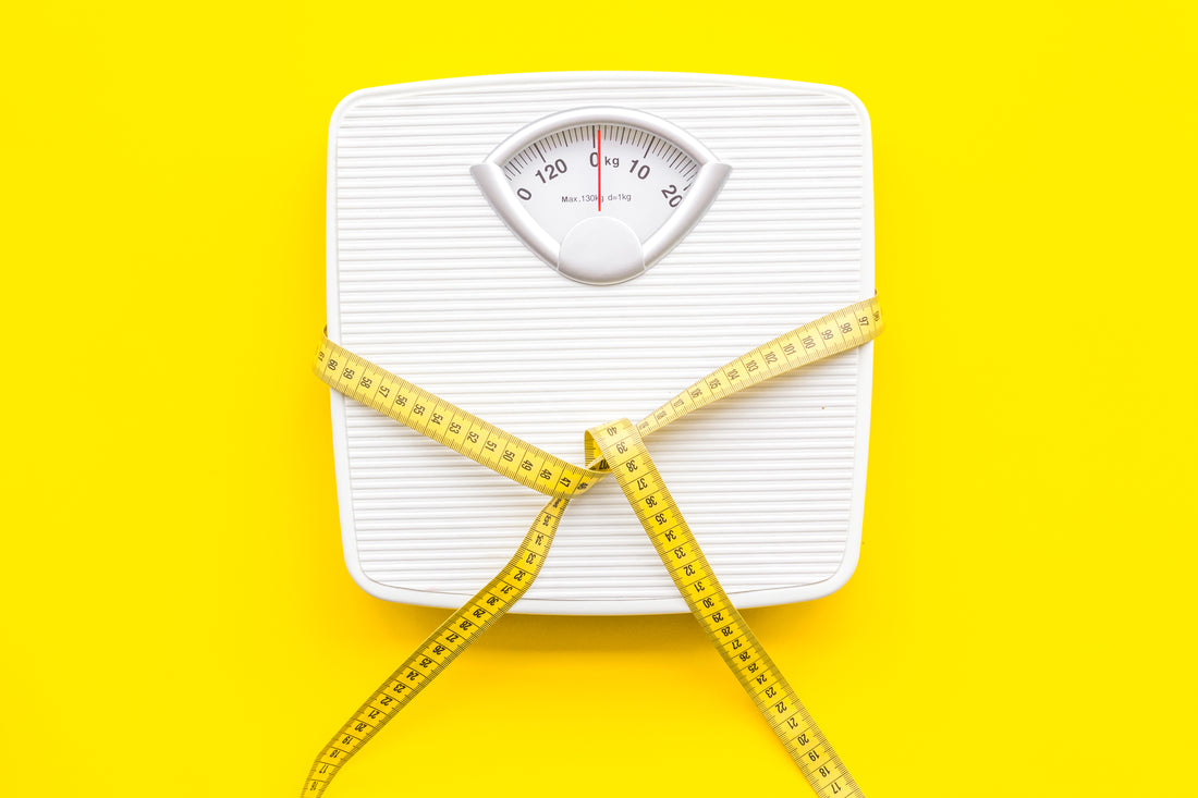 ¿Se puede comer sin engordar? - ViTeamins